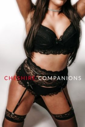 Телочки города Туркестана