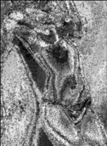 Эвелина город Мариинский Посад