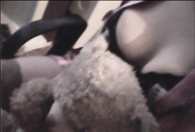 Олеся г. Счастье