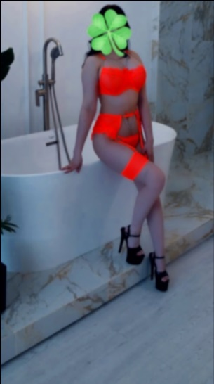 Шалава г. Новгорода-Северского